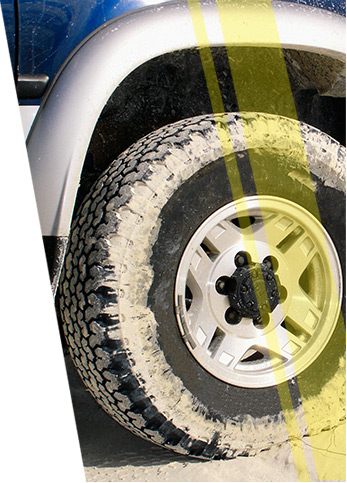 about steves motor world